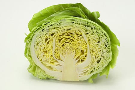 キャベツの画像
