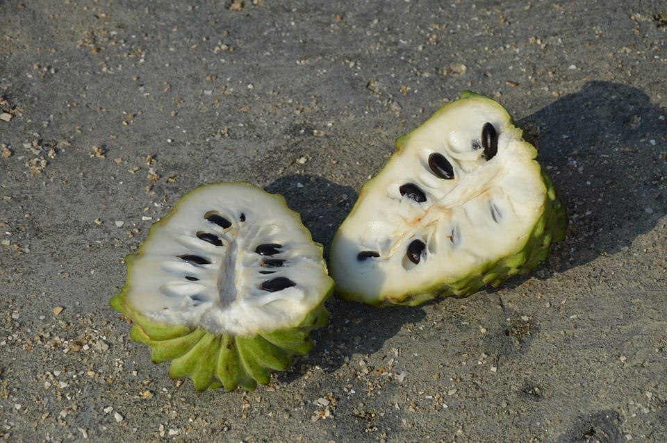 custard-apple