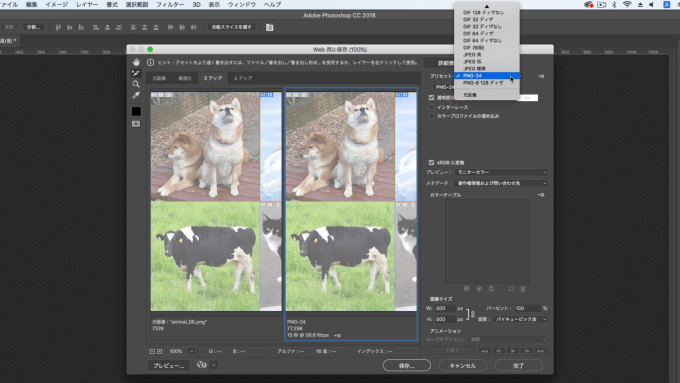 プリセットで画像の形式を確認している画像