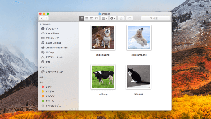 分割して保存されている画像