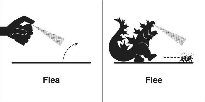 Homophones 同音異義語 - Flea と Flee