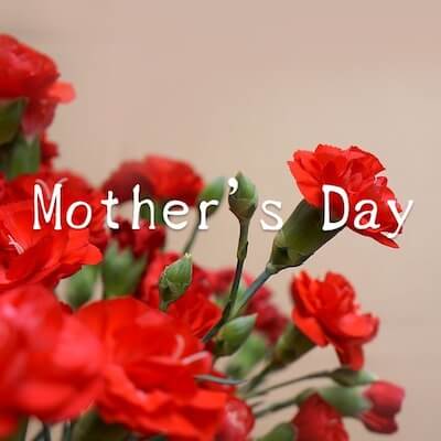 Mother's Dayのテキストとカーネーションの画像